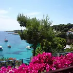 Dolphin * Votsi (Alonnisos)