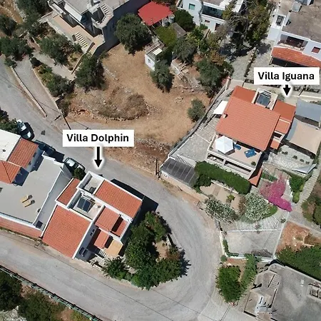 Dolphin Votsi (Alonnisos)