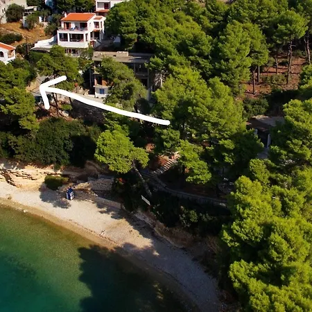 Dolphin * Votsi (Alonnisos)