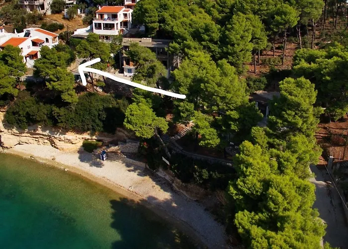 Dolphin * Votsi (Alonnisos)