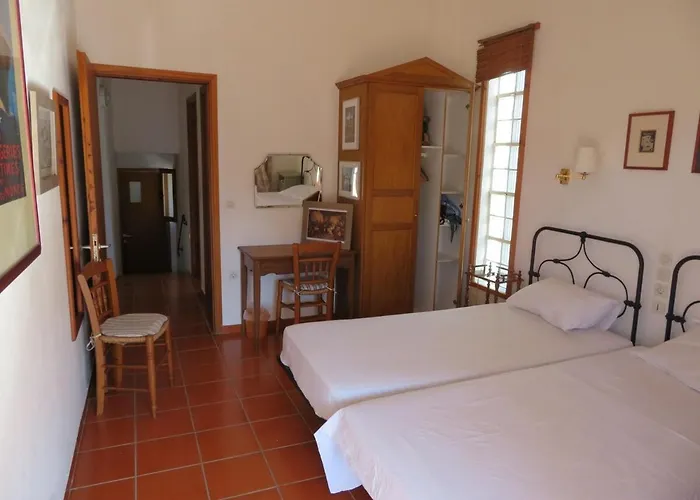 Dolphin Votsi (Alonnisos)