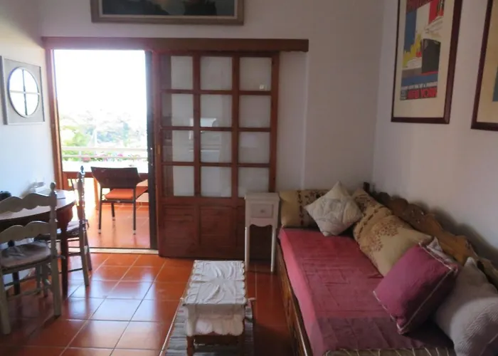 Dolphin Votsi (Alonnisos)